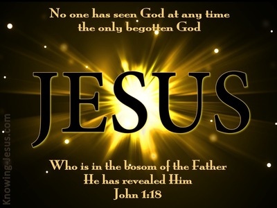 John 1:18 No One Seen God At Any Time (black)